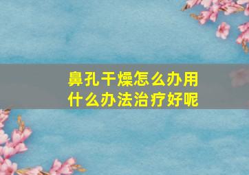 鼻孔干燥怎么办用什么办法治疗好呢