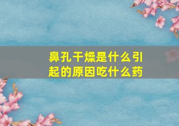 鼻孔干燥是什么引起的原因吃什么药