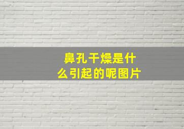 鼻孔干燥是什么引起的呢图片