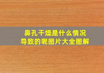 鼻孔干燥是什么情况导致的呢图片大全图解