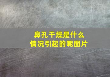 鼻孔干燥是什么情况引起的呢图片