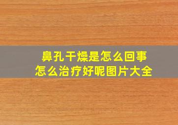 鼻孔干燥是怎么回事怎么治疗好呢图片大全