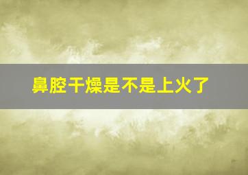 鼻腔干燥是不是上火了