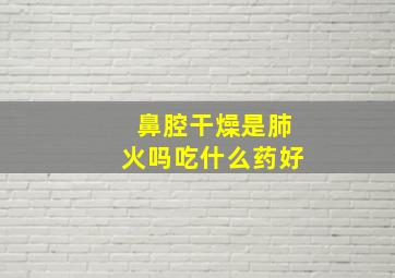 鼻腔干燥是肺火吗吃什么药好