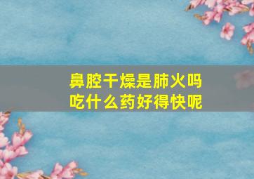 鼻腔干燥是肺火吗吃什么药好得快呢