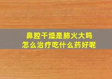 鼻腔干燥是肺火大吗怎么治疗吃什么药好呢