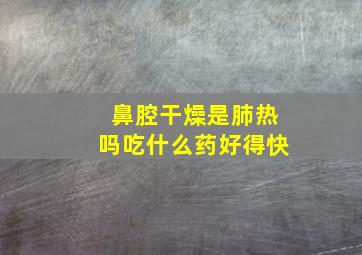 鼻腔干燥是肺热吗吃什么药好得快