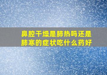 鼻腔干燥是肺热吗还是肺寒的症状吃什么药好