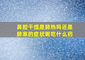 鼻腔干燥是肺热吗还是肺寒的症状呢吃什么药