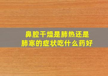 鼻腔干燥是肺热还是肺寒的症状吃什么药好