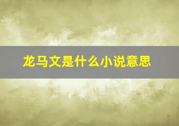 龙马文是什么小说意思