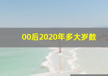 00后2020年多大岁数