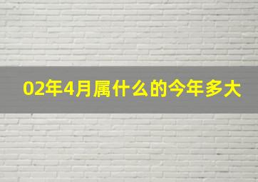 02年4月属什么的今年多大