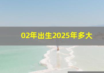 02年出生2025年多大