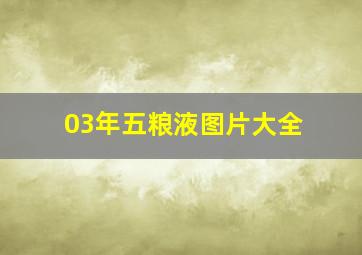 03年五粮液图片大全