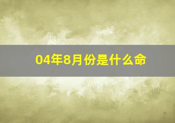 04年8月份是什么命