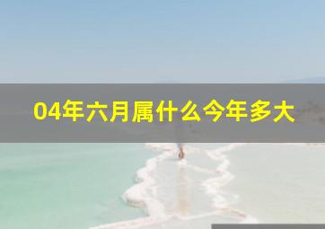 04年六月属什么今年多大