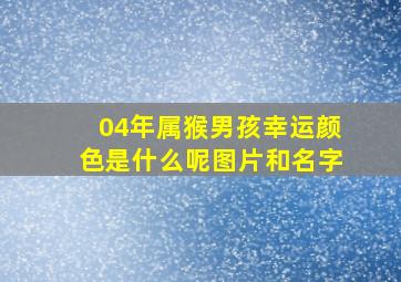 04年属猴男孩幸运颜色是什么呢图片和名字