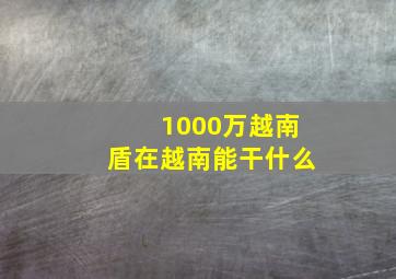 1000万越南盾在越南能干什么