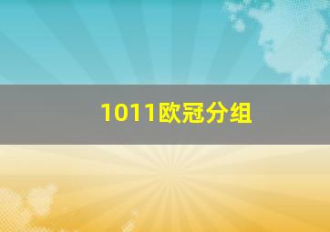 1011欧冠分组