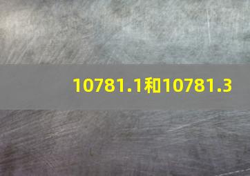 10781.1和10781.3