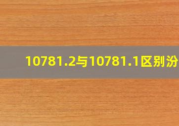 10781.2与10781.1区别汾酒