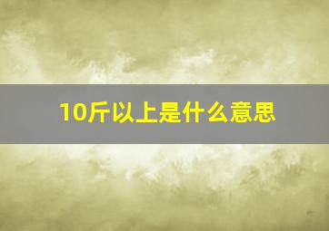 10斤以上是什么意思