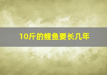 10斤的鲤鱼要长几年