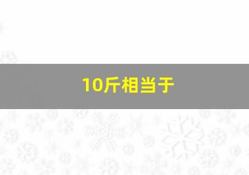 10斤相当于