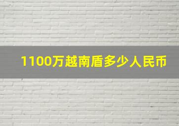 1100万越南盾多少人民币