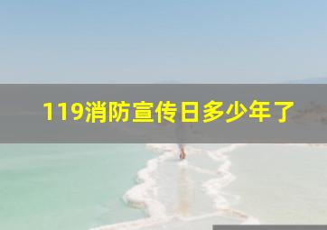 119消防宣传日多少年了