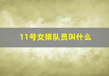 11号女排队员叫什么