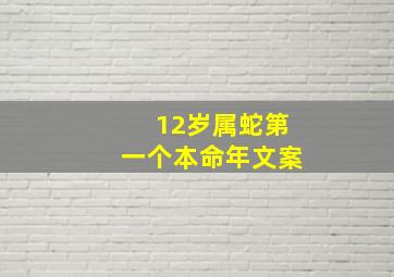 12岁属蛇第一个本命年文案