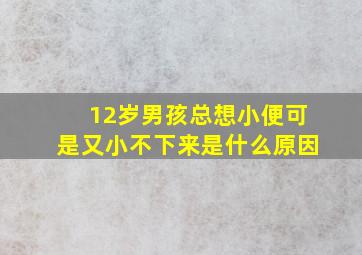 12岁男孩总想小便可是又小不下来是什么原因