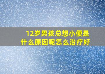 12岁男孩总想小便是什么原因呢怎么治疗好