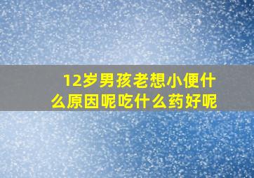 12岁男孩老想小便什么原因呢吃什么药好呢