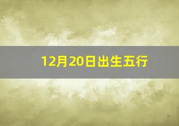 12月20日出生五行