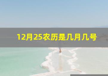 12月25农历是几月几号