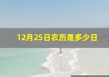 12月25日农历是多少日