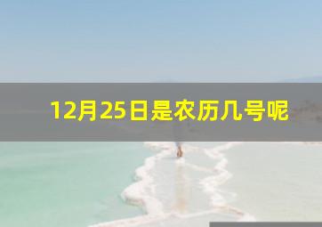 12月25日是农历几号呢