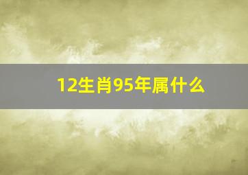 12生肖95年属什么