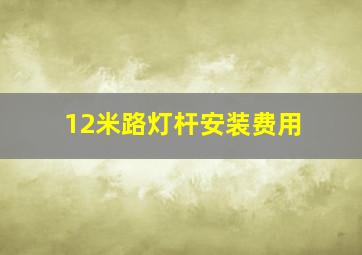 12米路灯杆安装费用