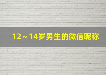 12～14岁男生的微信昵称