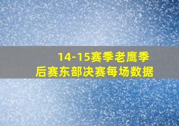 14-15赛季老鹰季后赛东部决赛每场数据