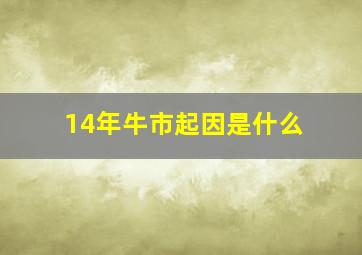 14年牛市起因是什么