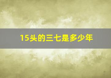 15头的三七是多少年