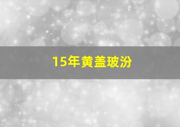 15年黄盖玻汾