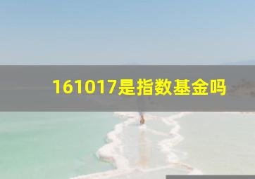 161017是指数基金吗