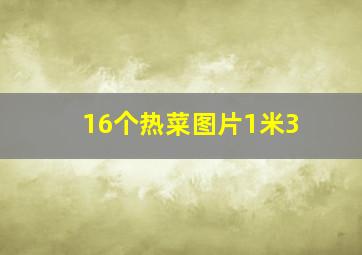 16个热菜图片1米3