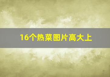 16个热菜图片高大上